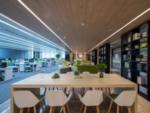 上海公司经营范围4点内容,经营范围查询