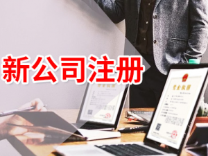 上海公司注册流程怎么走