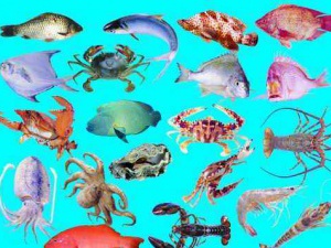 较吸引人的海鲜公司取名大全可收藏